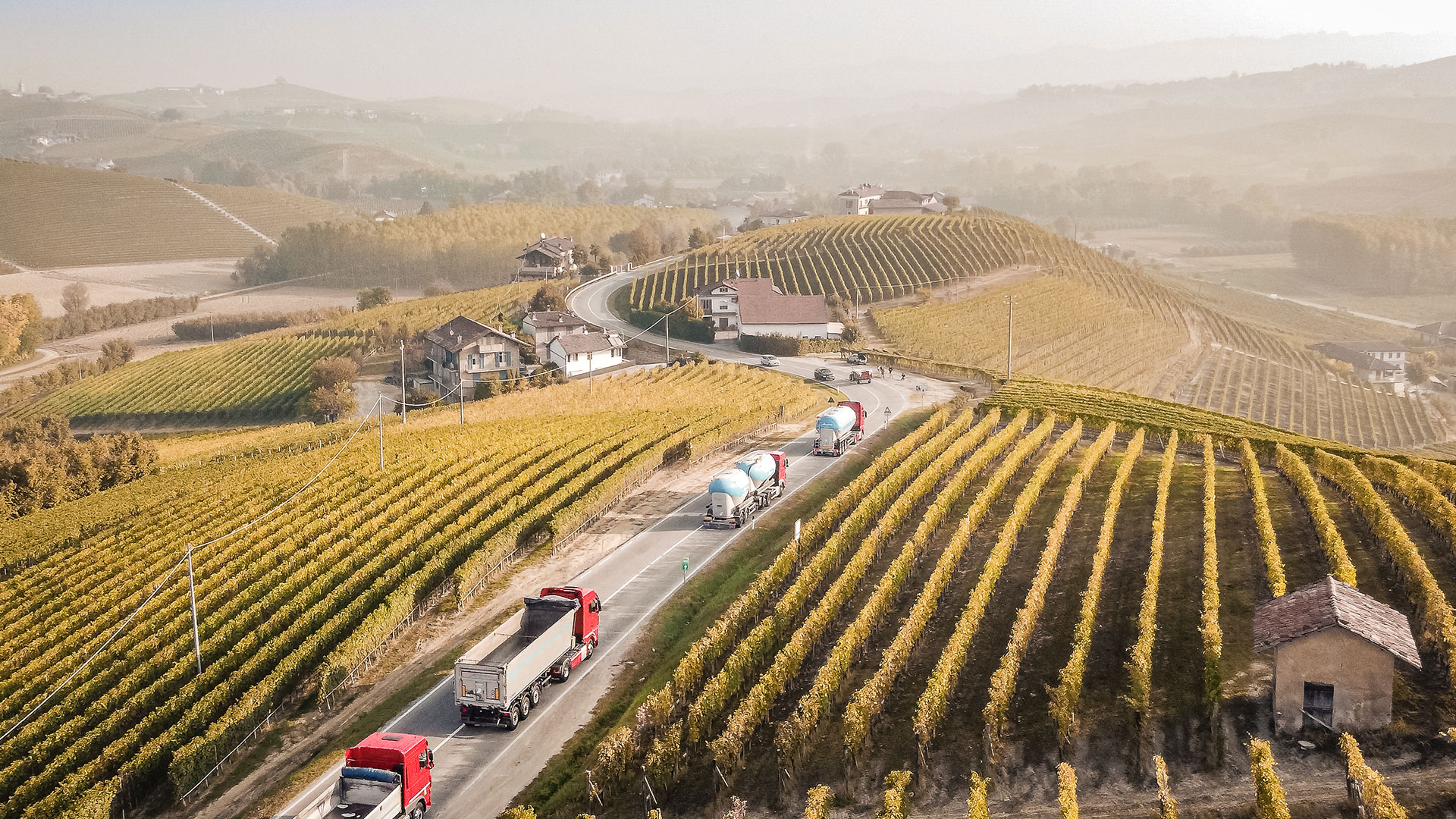 Argirò Trasporti